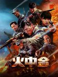火中金(全集)